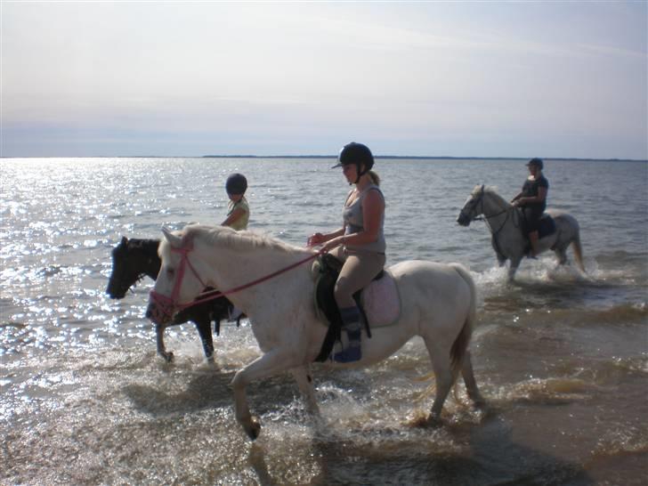 Anden særlig race Bonnie Best<3 | SOLGT - På stranden , med 2xRikke , Amanda & fie :D <3 {foto: mester fotografen FIE ! :D} billede 12