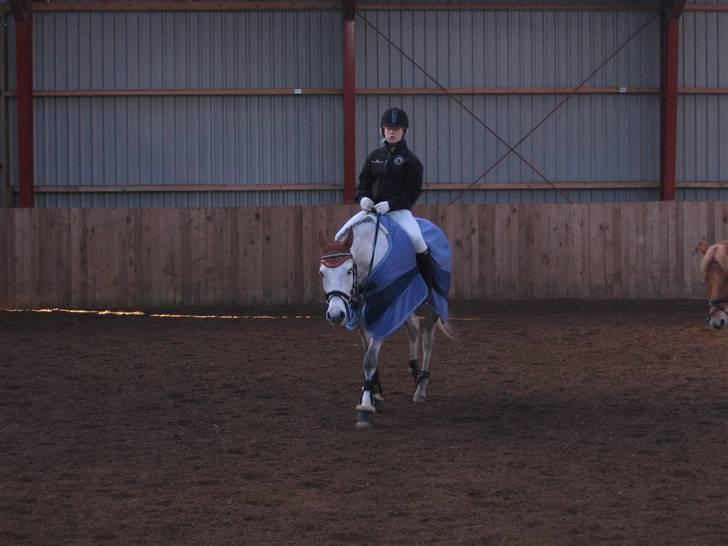 Sportsaraber (A) mistral Savnet for altid  - vores første spring stævne, du var såå sød hehe billede 5