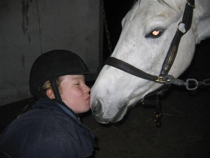 Sportsaraber (A) mistral Savnet for altid  - hehe tjek lige mig, heh ser ikk sådsan ud normalt, men var helt udmattet efter undervisningen :O puhhaaa billede 9