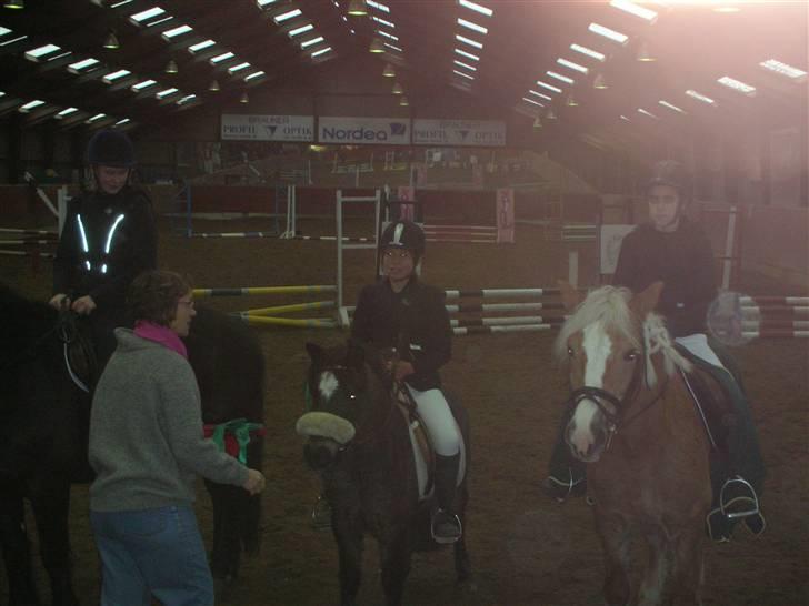 Palomino Epol star - Zorro&&sabine<3 billede 12