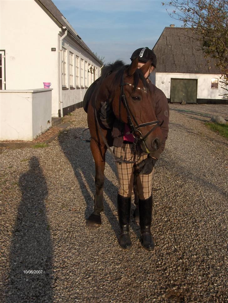 Traver El Santos [Himmelhest]  - 20.Farvel vi sees snart igen lig gerne en komentar og en bedømlse:) billede 20