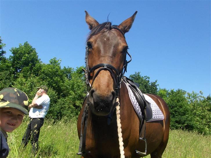 Traver Mille<3 solgt - i skoven :D billede 20