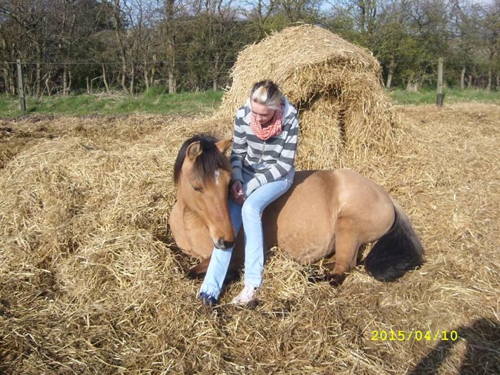 Anden særlig race Julie - hygger på folden   jeg elsker dig julie :-* <3 billede 9