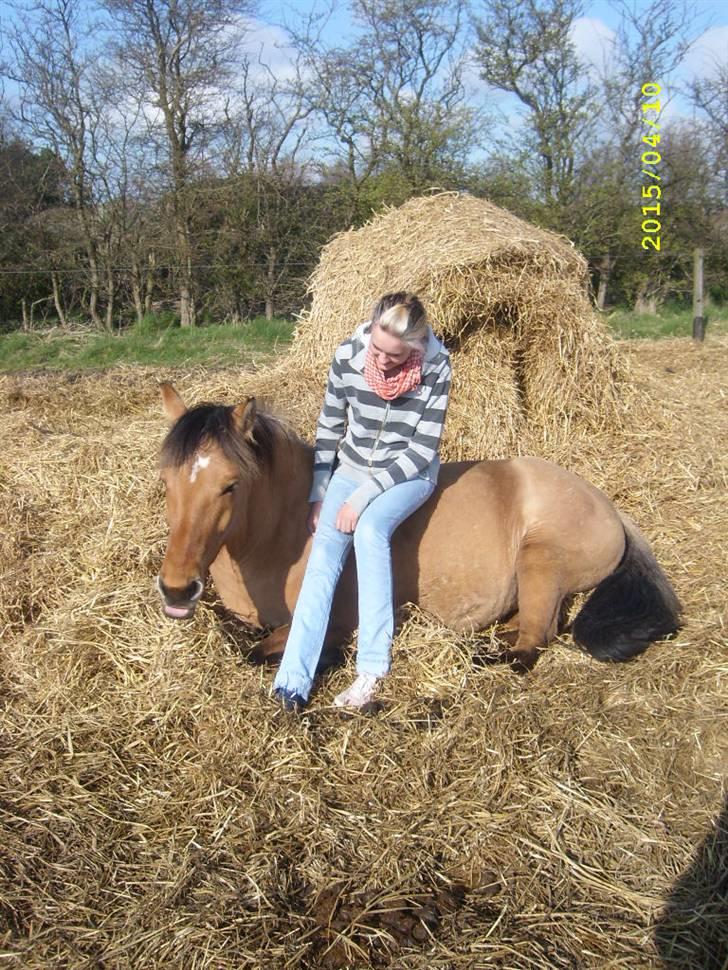 Anden særlig race Julie - hygger på folden   jeg elsker dig julie :-* <3 billede 10