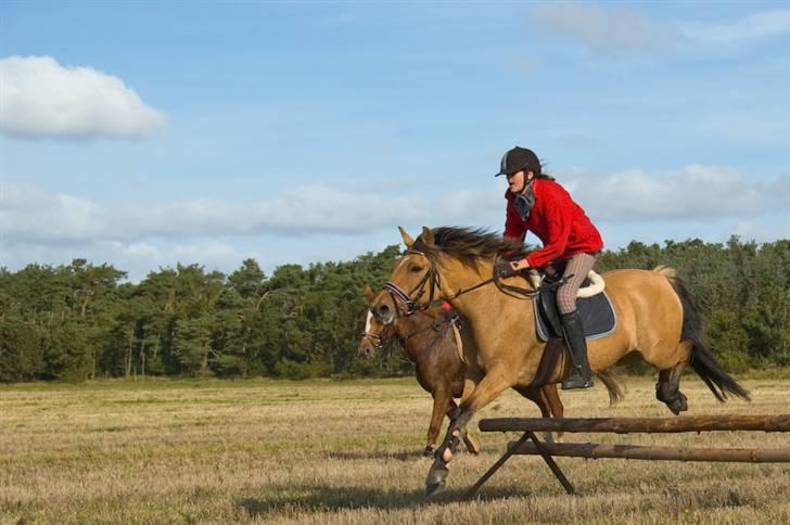 Anden særlig race Julie - til jagt med halsrideklub. o9 gik mega godt blev vist nummer 5 til opløbet!  billede 11