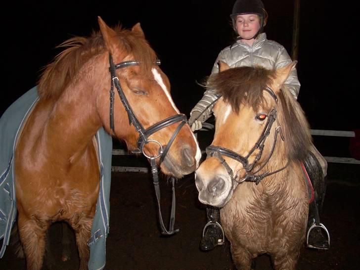 Anden særlig race Bauke <3 R.I.P  - Bauke giver Pulle et mys med lukkede øjne, sødt hva´ <3 Foto: Lærke billede 5