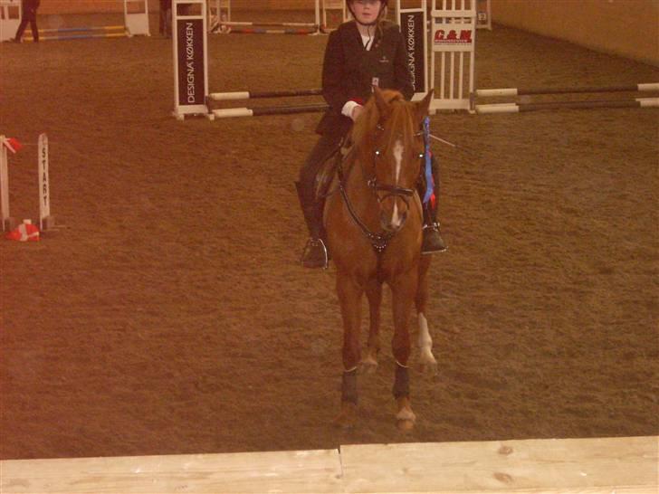 Anden særlig race Bauke <3 R.I.P  - Præmie overekelse til stævne <3 Foto: Lærke  billede 7