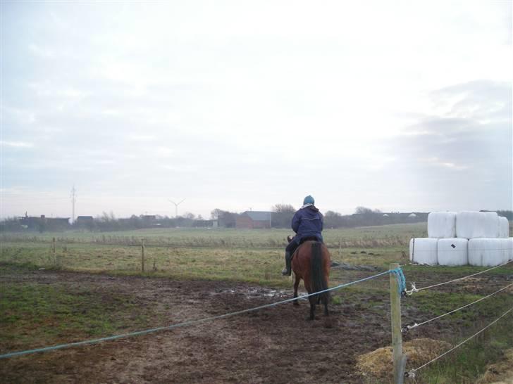 Dansk Varmblod  candy<3 rip /;    - 19 første ridetur da candy blev min billede 19