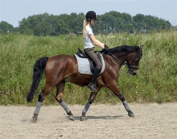 Anden særlig race Lucky  - Træning med skønnheden ;D billede 19