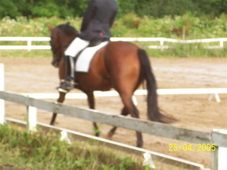 Traver Here To Stay - Mere LC billede 2