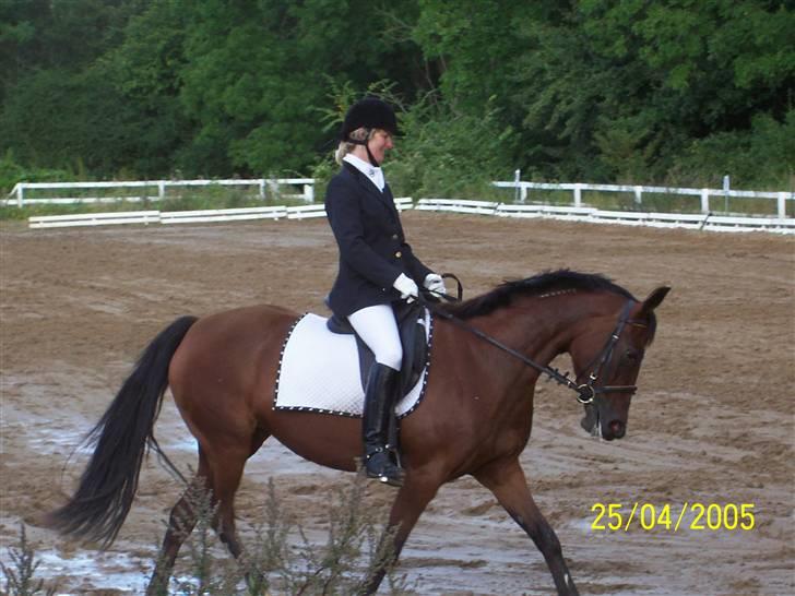 Traver Here To Stay - Endnu en gang fra stævnet billede 4