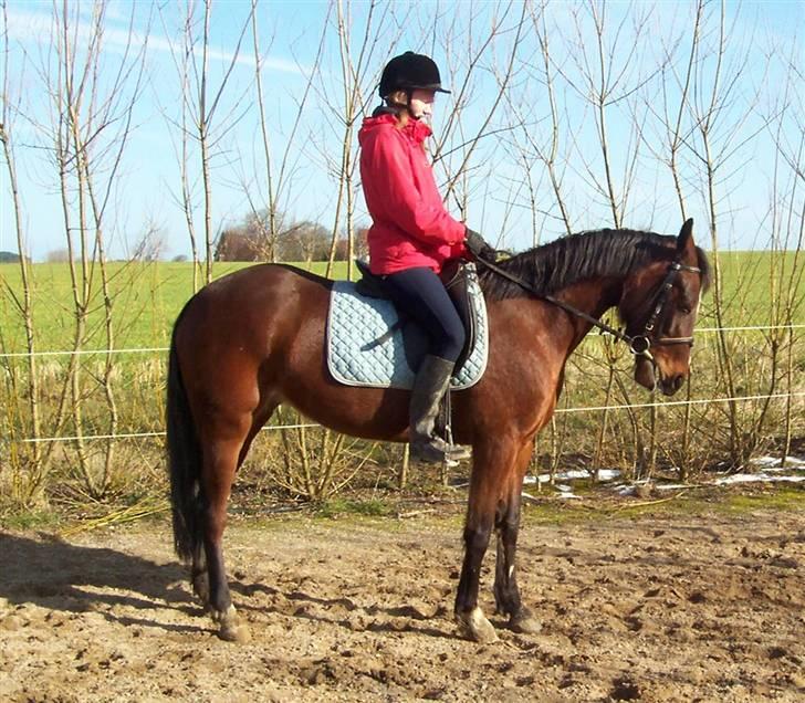 Traver Here To Stay - Fra en gang undervisning. Vi er stadig ved at lære hinanden at kende. billede 5