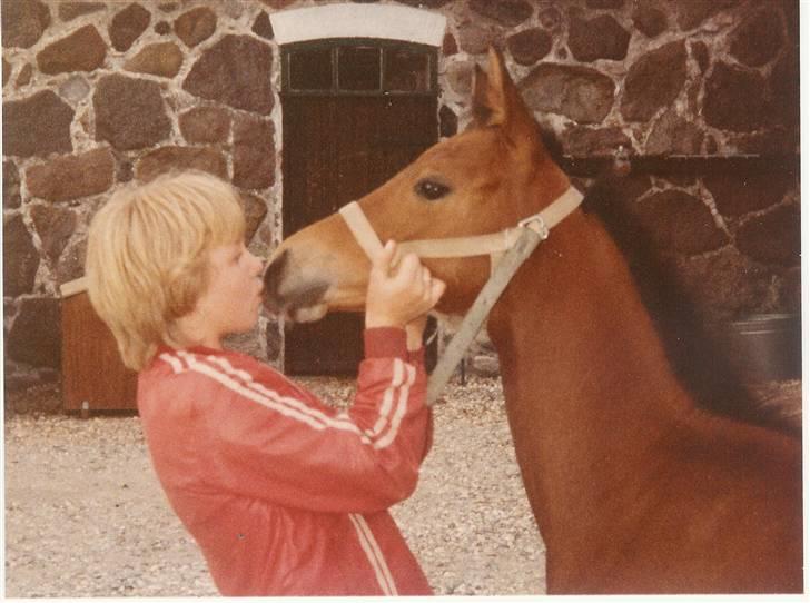 Trakehner Fleur - Død - Vi kysser :) billede 7