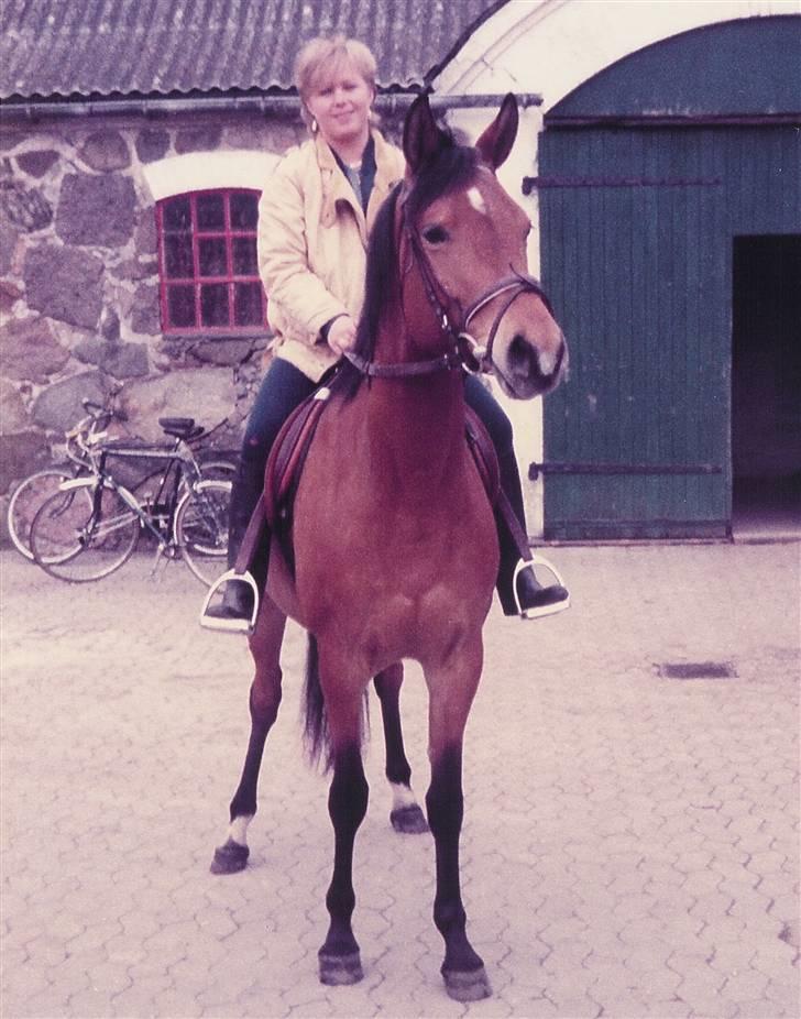 Trakehner Fleur - Død - en af mig og Fleurs første rideture billede 15