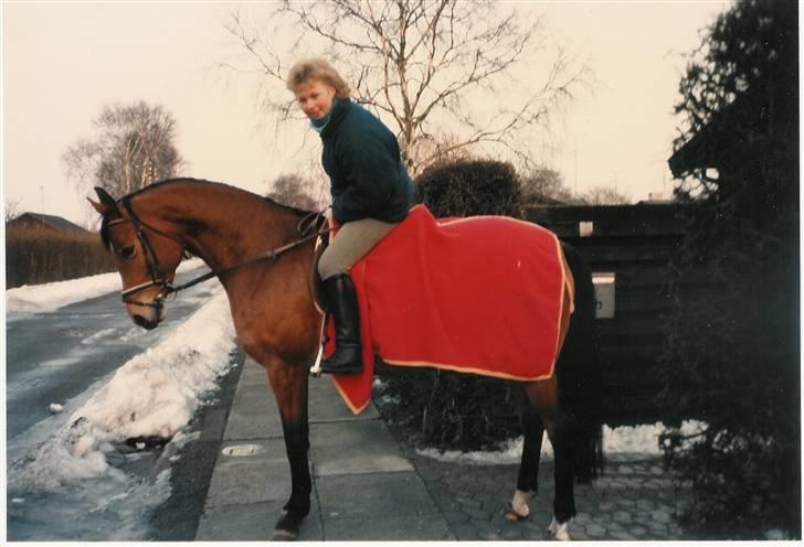 Trakehner Fleur - Død - mig og fleur billede 17