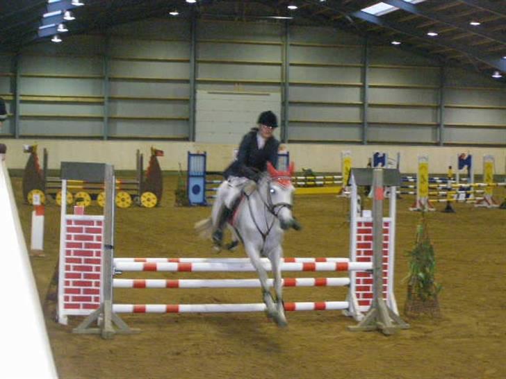 Anden særlig race MILLENIUM(TILBAGE LEVERT) - hopla:) billede 17