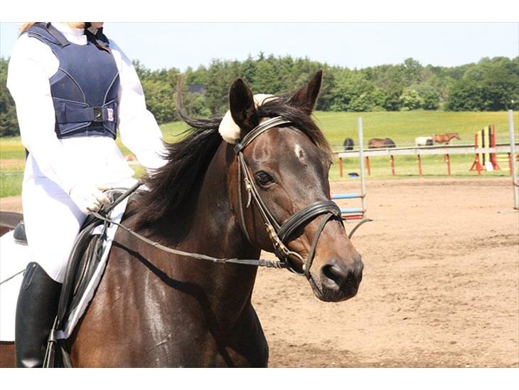 {{currentPhoto.altText}} billede {{currentPhoto.number}}