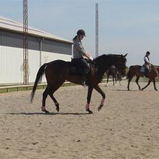 Fuldblod (XX) Gucci Girl (Den)