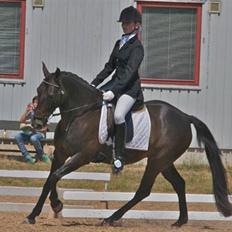 Anden særlig race Invincible (Andrea) <3