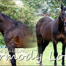 Traver Carmody Lobell R.I.P