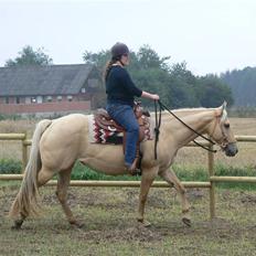 Quarter Strawberry Maiden
