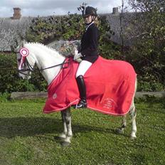 DSP Asgogårds Splint