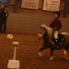 Shetlænder Rosalil  solgt ):