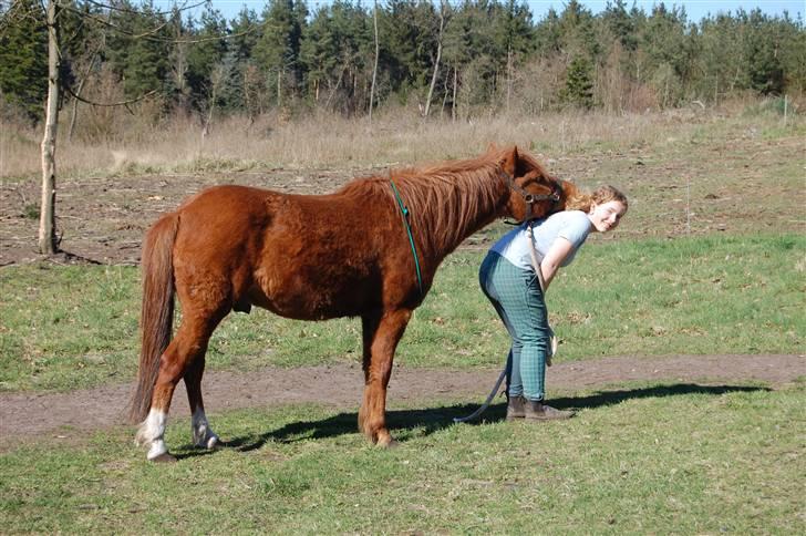 Anden særlig race Aslan billede 13