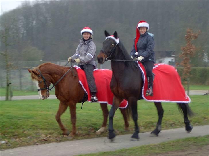 Traver Ginkgo Star - Juleoptog 2007 Liann og Ginkgo billede 2