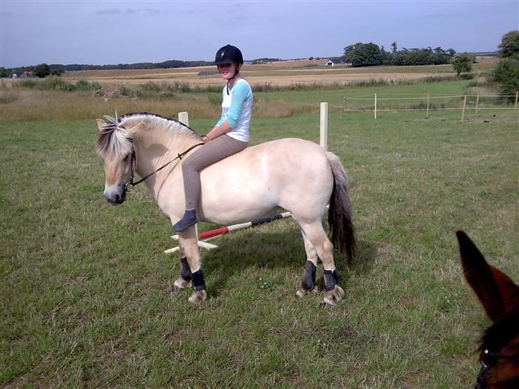 Fjordhest Freja - Freja og Lene. :P (foto: mig/mobil) billede 7
