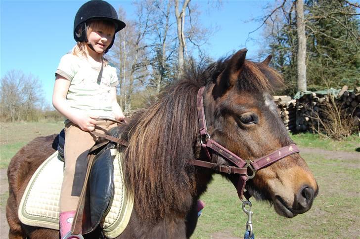 Anden særlig race Mia billede 10