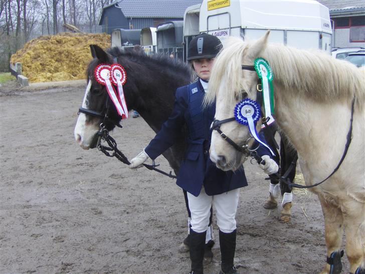 Anden særlig race Sprite † - Sabrina og Sprite i Sønderskov billede 3