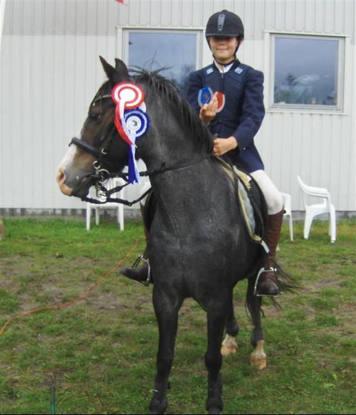 Anden særlig race Sprite † - Sabrina og Sprite i Ottersbøl billede 4