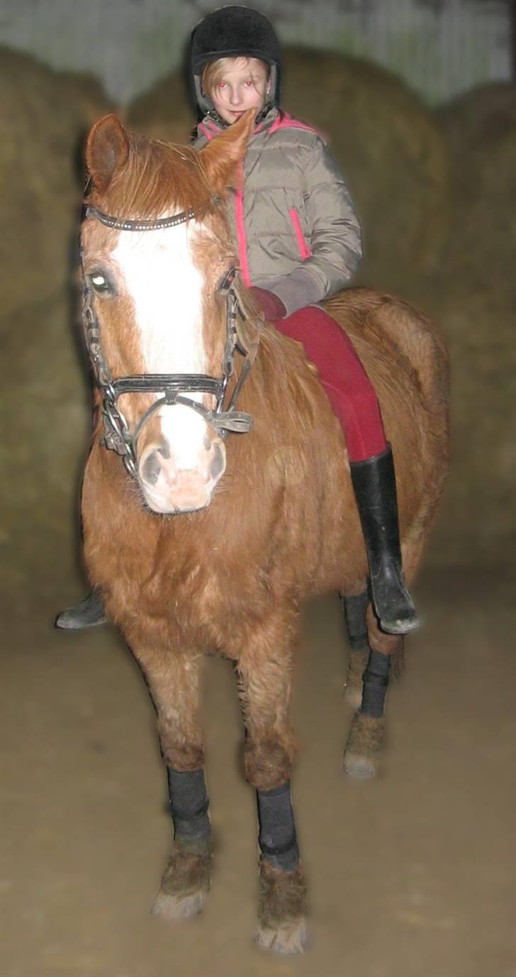 Anden særlig race Charlie - Min Engel † RIP - charlie & min lillesøster billede 16