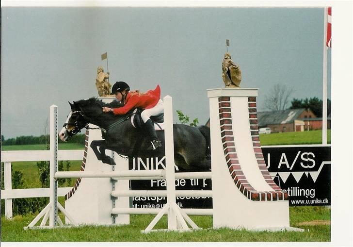 Anden særlig race Sprite † - Nanna Skovsgaard og Sprite billede 10