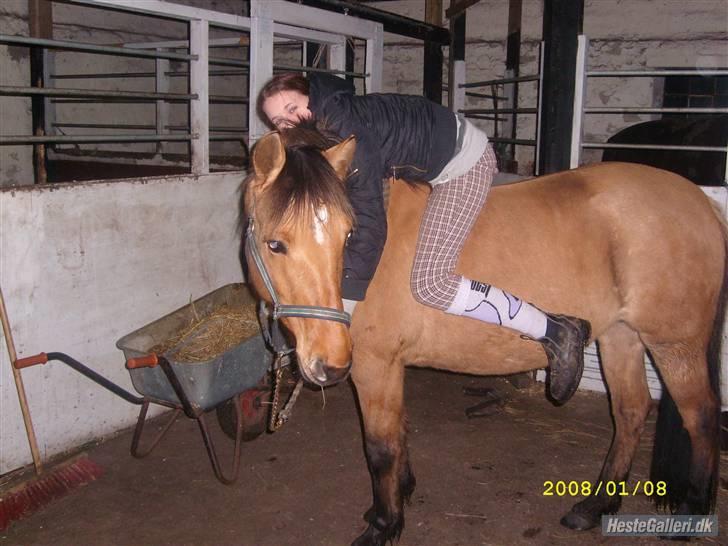 Anden særlig race Julie - ja hygge det er noget vi kan :P billede 16