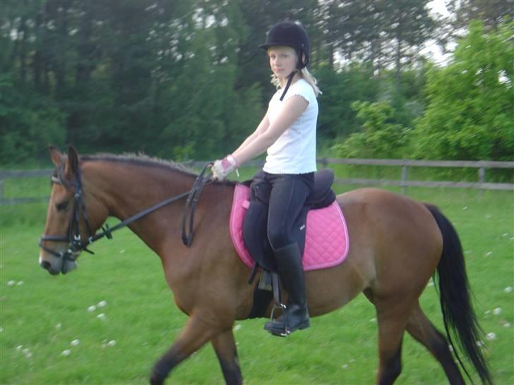 DSP Asprilla solgt billede 3