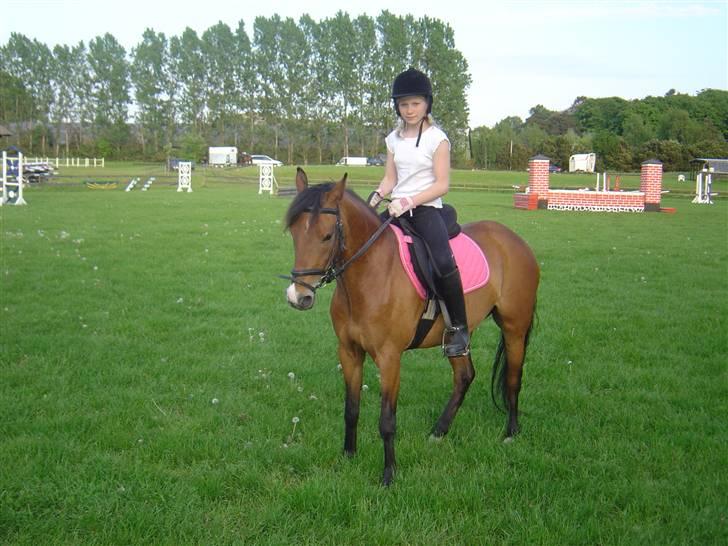 DSP Asprilla solgt billede 4