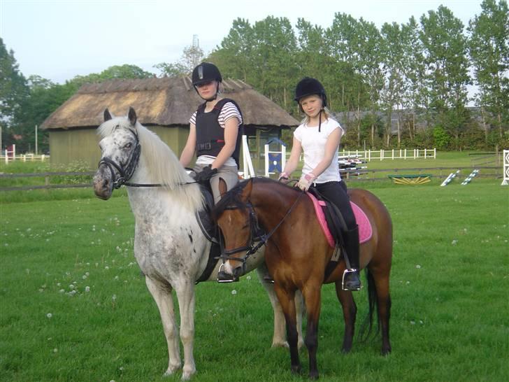 DSP Asprilla solgt billede 5