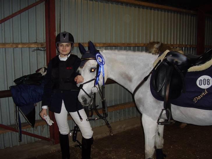 Anden særlig race David (tidl. pony) - Blev nr 2 i min første LB til et c-stævne med 22  sek billede 17