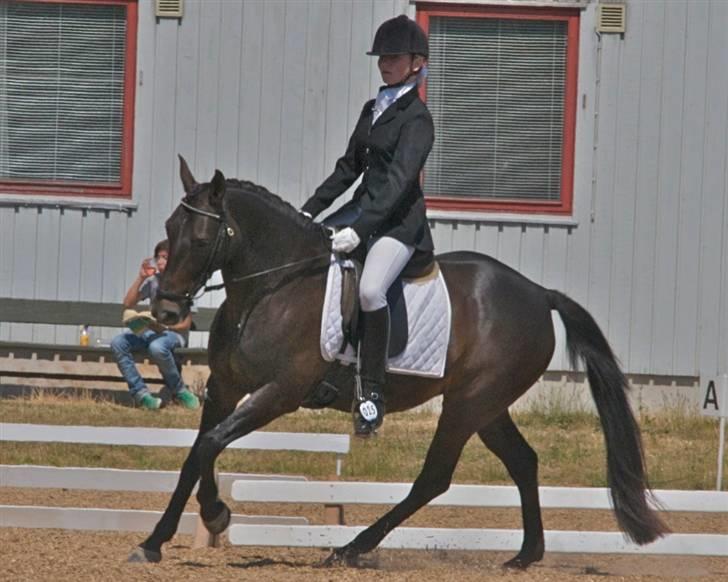 Anden særlig race Invincible (Andrea) <3 - 3) Fotograf: Kim Andersen billede 3