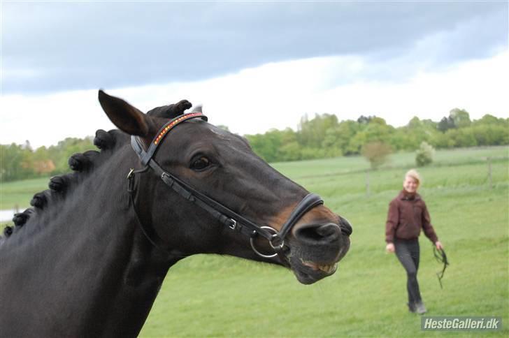 Anden særlig race Invincible (Andrea) <3 - 6) Fotograf: Amalie Knudsen billede 6