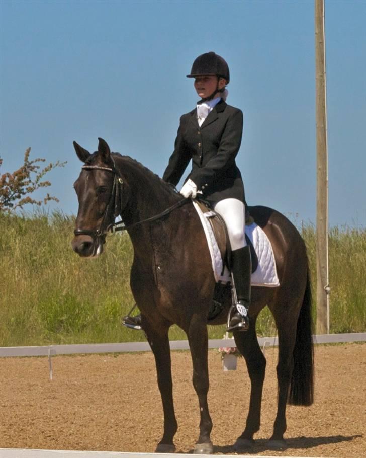 Anden særlig race Invincible (Andrea) <3 - 7) Fotgraf: Kim Andersen billede 7