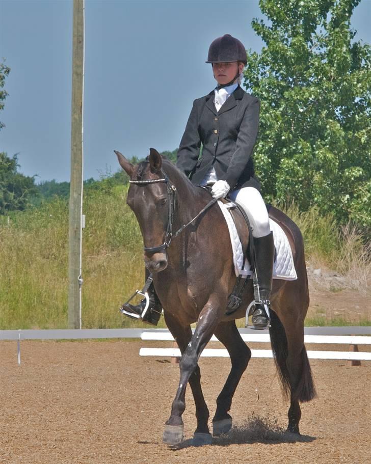 Anden særlig race Invincible (Andrea) <3 - 8) Fotograf: Kim Andersen billede 8