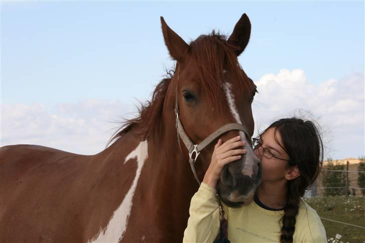 Pinto Polle - Et lille møs til den dejlige dreng. <3 billede 8