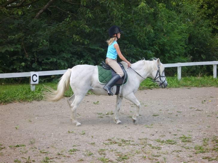 Anden særlig race Perle  - sommerdag igen ! billede 5