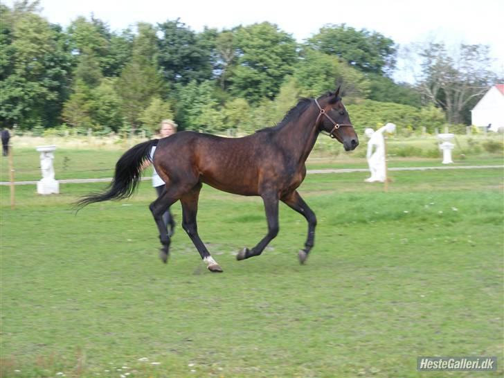 Traver Carmody Lobell R.I.P - lækkert :) billede 6