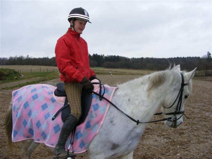 Anden særlig race Penelope *SOLGT* - *NYT* - mig og Penelope den 20. januar 2008.. -ved godt hun ikk går det bedste hun sikkert kan men hun får sår hvis jeg rider med for lange tøjler men ellers får hun sår i munden....  billede 8