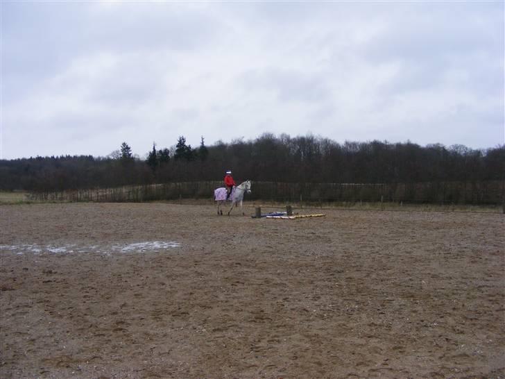 Anden særlig race Penelope *SOLGT* - *NYT* - mig og Penelope den 20. januar..    2008 billede 11