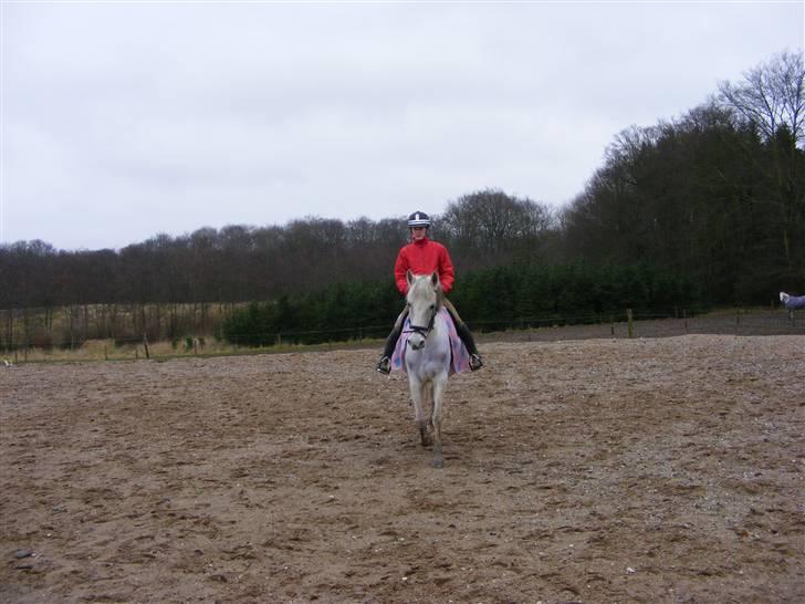 Anden særlig race Penelope *SOLGT* - *NYT* - mig og Penelope den 20. januar 2008 billede 12